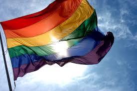 Rainbow Flag Polyester 4x6 foot