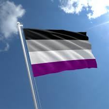 Asexual Flag 3x5