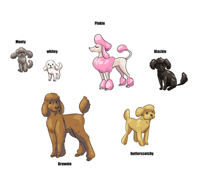 The Poodles of Potter's Peak