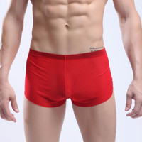 Men's sexy underwear transparent mesh gauze breathable boxer briefs #M14-3 - Thumbnail 1