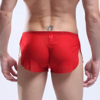 Men's sexy underwear transparent mesh gauze breathable boxer briefs #M14-3 - Thumbnail 3