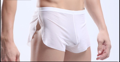 White Men's sexy underwear transparent mesh gauze breathable boxer briefs #M14-3