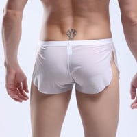 White Men's sexy underwear transparent mesh gauze breathable boxer briefs #M14-3 - Thumbnail 2