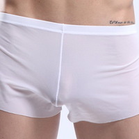 White Men's sexy underwear transparent mesh gauze breathable boxer briefs #M14-3 - Thumbnail 3