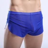 Blue Men's sexy underwear transparent mesh gauze breathable boxer briefs #M14-3 - Thumbnail 1