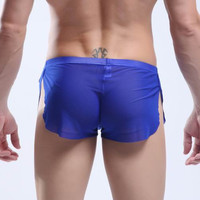 Blue Men's sexy underwear transparent mesh gauze breathable boxer briefs #M14-3 - Thumbnail 3