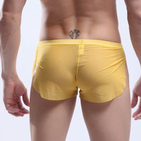Yellow Men's sexy underwear transparent mesh gauze breathable boxer briefs #M14-3 - Thumbnail 3