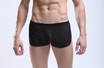 Black Men's sexy underwear transparent mesh gauze breathable boxer briefs #M14-3