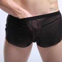 Black Men's sexy underwear transparent mesh gauze breathable boxer briefs #M14-3 - Thumbnail 1