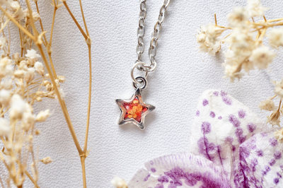 Real Dried Flowers in Resin Star Necklace in Orange and Red
