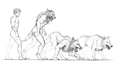 Man to Wolf Concept - Sirion's Journal INTERIOR PUBLISHED ILLUSTRATION ARTWORK Shadow Over Shandahar