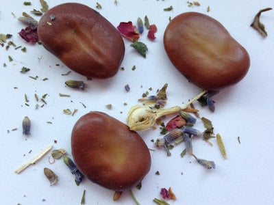 Misc - Mojo Wish Beans