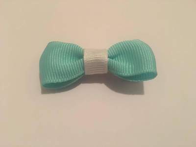 Mint and White Clippie set