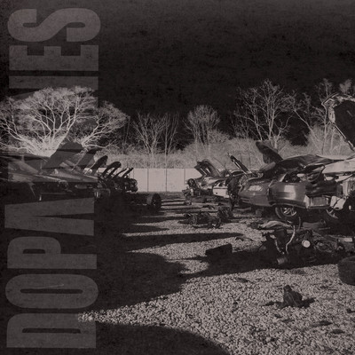 RGF-066 THE DOPAMINES "TALES OF INTEREST" LP/CD