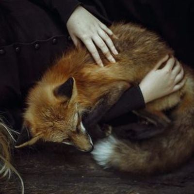 Dreamer's slumber - Thumbnail 3