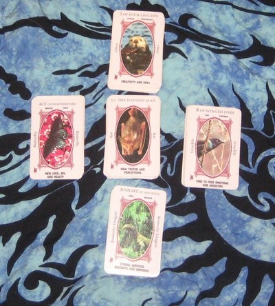 One card animal totem reading