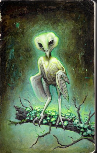 Featherless Barn Owl