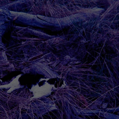 Meryl Streaker - Sky Burial 7"