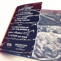 Pregnancy - Demo EP - Thumbnail 2