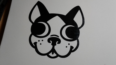 Boston Terrier