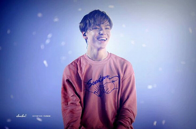 K-Pop Seventeen Thin Sweatshirt