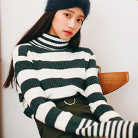 Turle Neck Striped Long Sleeved Knitted Sweater - Thumbnail 1