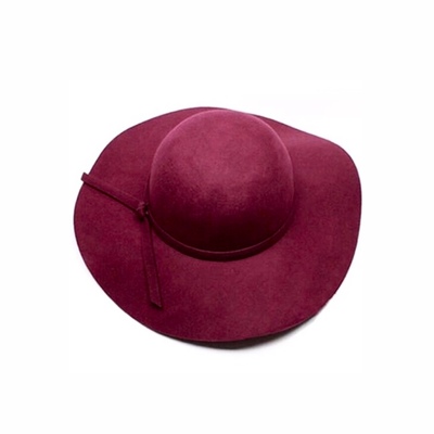 KIDS-Cranberry Apple Wool Hat