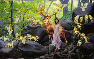 Neon Forest Preliminary