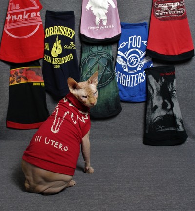 Alternative Music - Upcycled