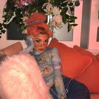 High Collar See-Through Little Angle Printed Mesh Top - Thumbnail 2