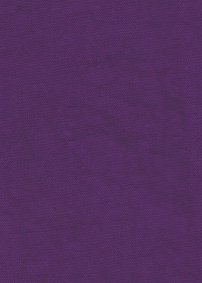 8 oz. Plum CustomSet Procion MX