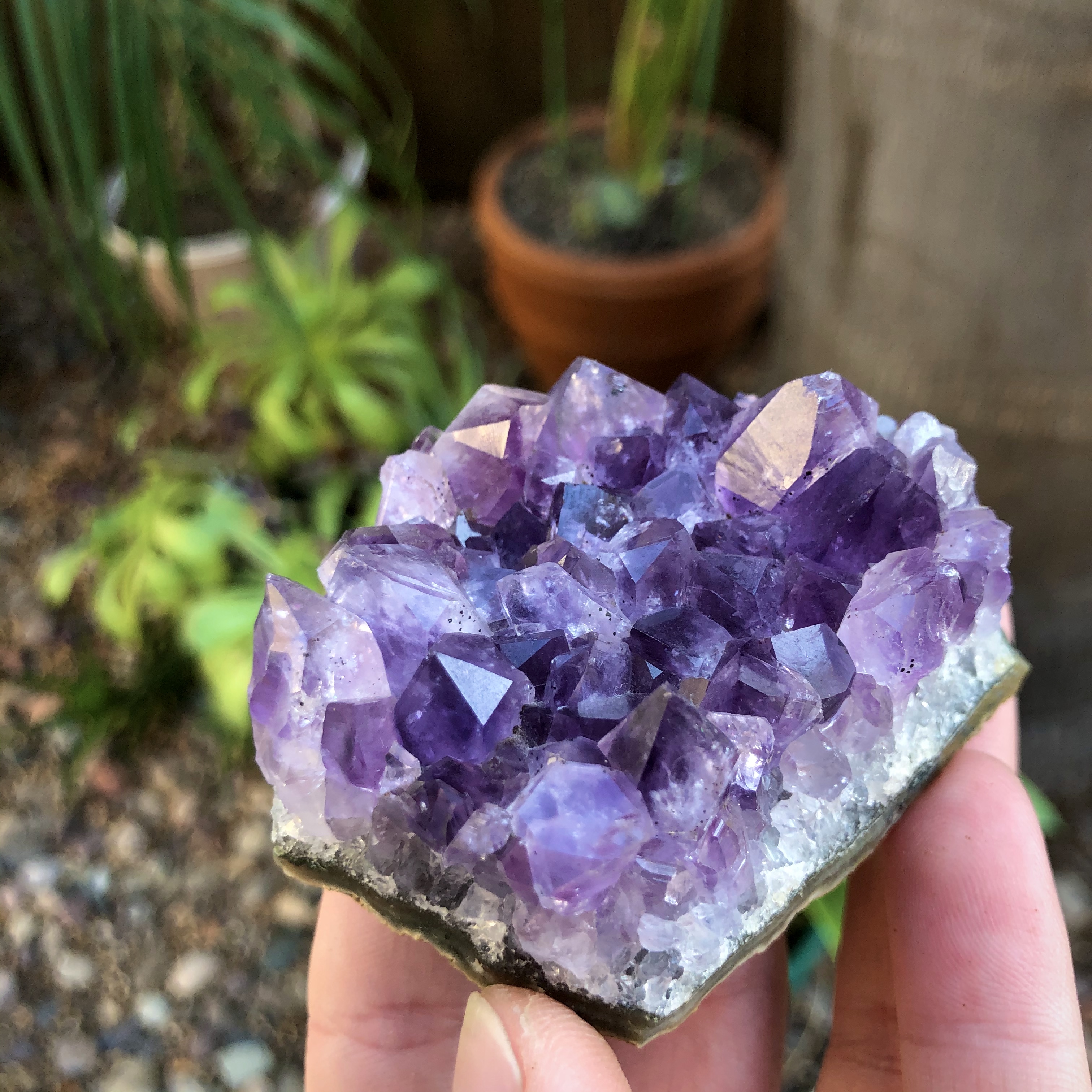 Amethyst Crystal-Cluster