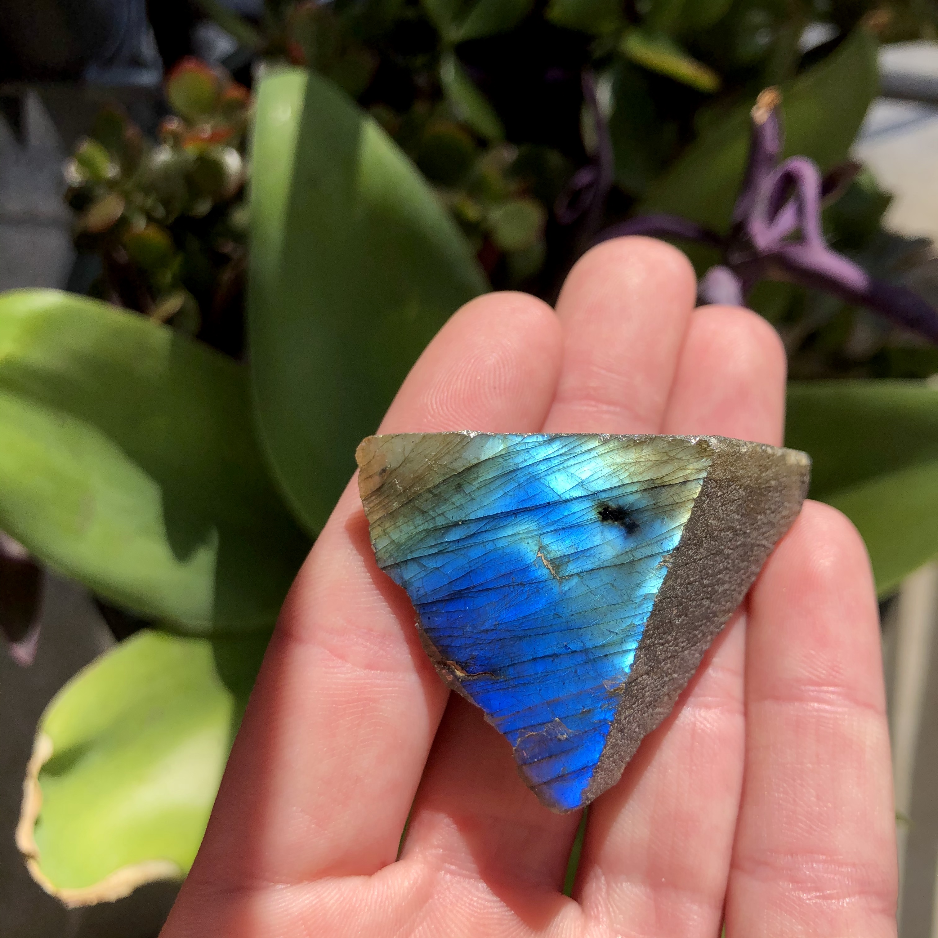 Triangular Blue Labradorite Stone