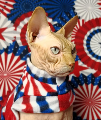 Star Spangled Banner