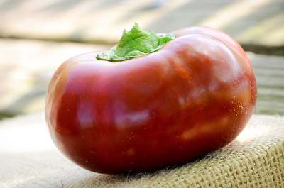 Bulgarian Giant Cherry Stuffing and Pickling Pepper Premium Seed Packet + More