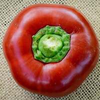 Bulgarian Giant Cherry Stuffing and Pickling Pepper Premium Seed Packet + More - Thumbnail 3