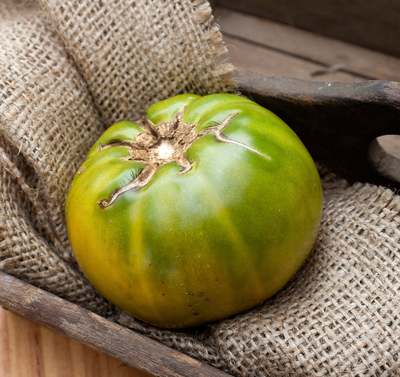 Aunt Rubys German Green Heirloom Tomato Premium Seed Packet