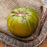 Aunt Rubys German Green Heirloom Tomato Premium Seed Packet - Thumbnail 1