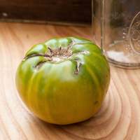 Aunt Rubys German Green Heirloom Tomato Premium Seed Packet - Thumbnail 2