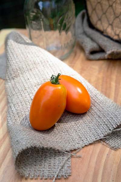 Yellow Plum Heirloom Tomato Premium Seed Packet