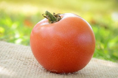 Moskvich Russian Heirloom Tomato Premium Seed Packet