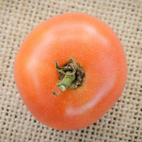 Moskvich Russian Heirloom Tomato Premium Seed Packet - Thumbnail 1