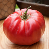 Caspian Pink Heirloom Tomato Premium Seed Packet - Thumbnail 1