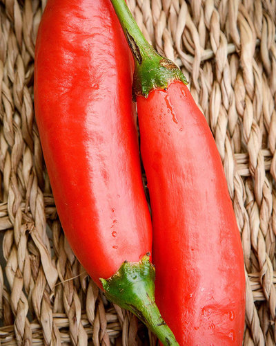 Aji Colorado Peruvian Heirloom Pepper Premium Seed Packet