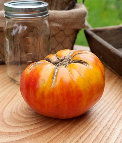 Walters Candy Stripes Heirloom Tomato Premium Seed Packet