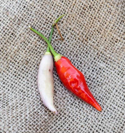 Aji Omnicolor Peruvian Heirloom Pepper Premium Seed Packet