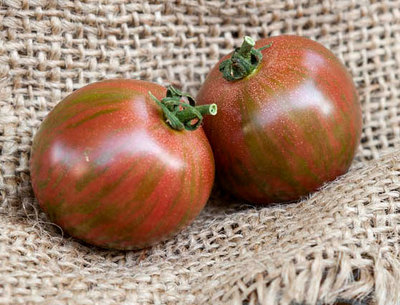 Purple Bumblebee Heirloom Tomato Premium Seed Packet