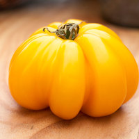 Yellow Ruffles Pleated Stuffing Heirloom Tomato Premium Seed Packet - Thumbnail 1