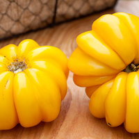 Yellow Ruffles Pleated Stuffing Heirloom Tomato Premium Seed Packet - Thumbnail 3