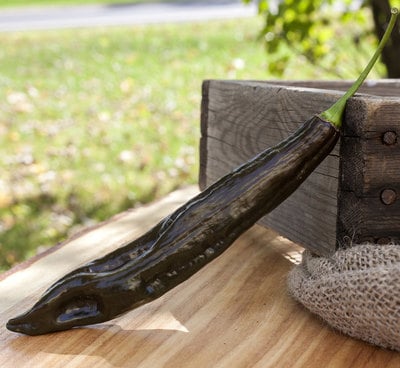 Aji Panca Peruvian Chili Heirloom Pepper Premium Seed Packet